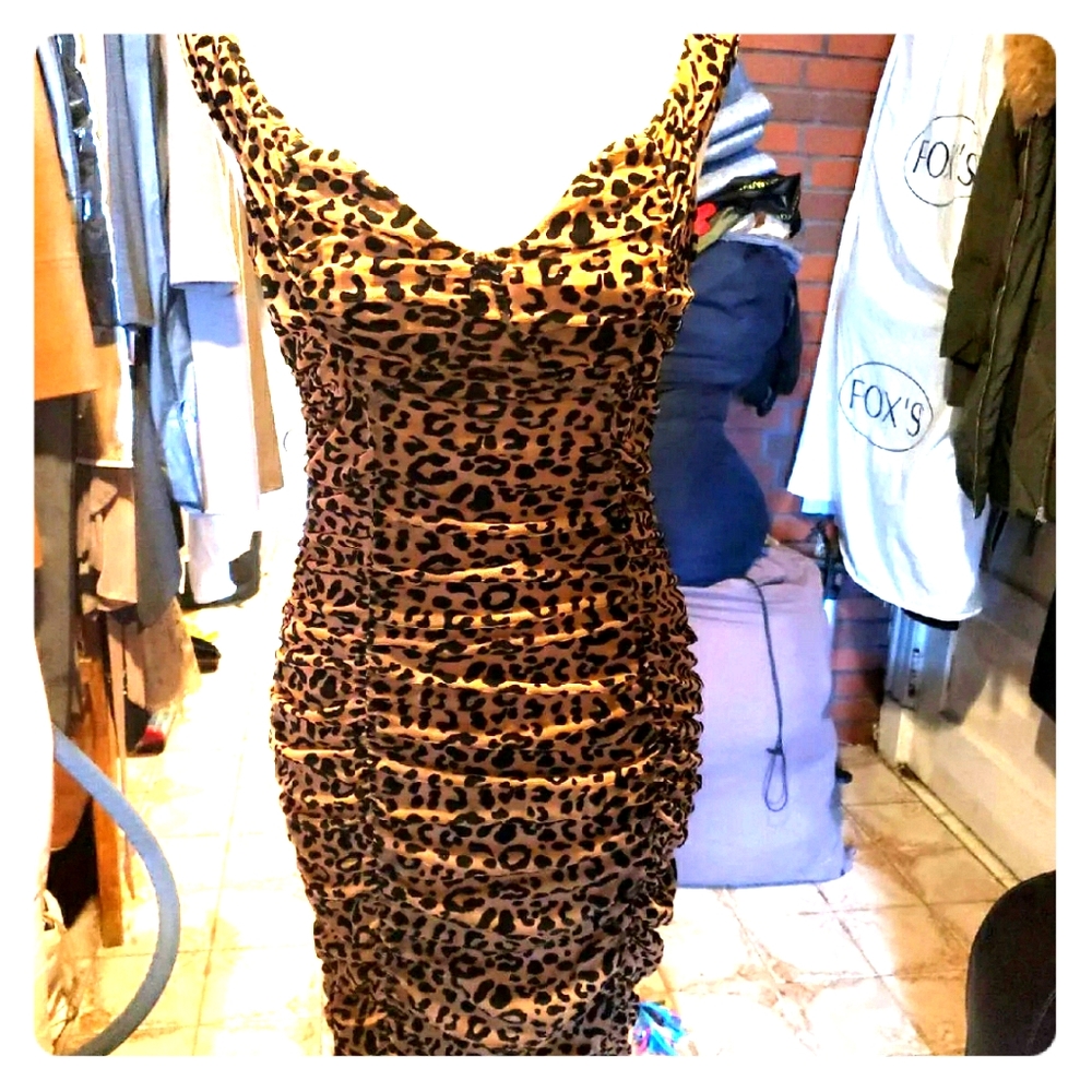 Express dress